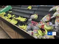 Grocery stores limit hours to keep shelves stocked