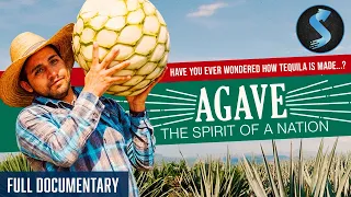 Inside Mexico s Agave Fields Tequila Documentary Full Movie Agave The Spirit of A Nation