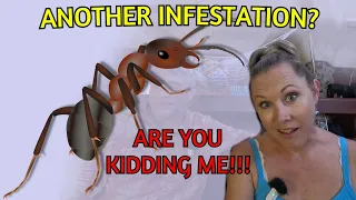 39 Endless supply of boat projects