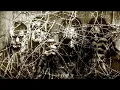 MARDUK - Between the Wolf-packs