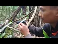 Download Lagu Menjerat Burung Ciung Batu di hutan