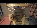 Grand Teton Teewinot Pellet Stove Basics for New users Similar to PelPro Settings How-To