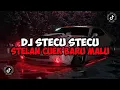 Download Lagu DJ STECU - ADUH ABANG BUKAN MAKSUD KU BEGITU || DJ STECU SLOW MAMAN FVNDY JEDAG JEDUG VIRAL TIKTOK