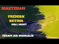 Download Lagu SUARA MASTERAN PRENJAK BETINA JERNIH || DENGAN TERAPI AIR
