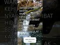 Download Lagu WANITA BAHAGIA DENGAN ORANG MISKIN TAPI HILANG NYAWA DENGAN ORANG KAYA #islam #ilmu #shorts