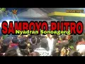 Download Lagu SAMBOYO PUTRO live NYADRAN SONOAGENG (penonton tawuran jaranan aman)
