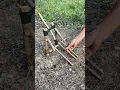 Download Lagu Trap in the Forest! #survival #outdoors #bushcraft