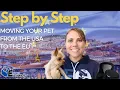 HOW TO Move With Your Pet from The US to Europe - Step by Step Guide 2020 Expats Everywhere