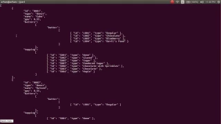 PERL Tutorial Working with JSON Data using the json Module by STB