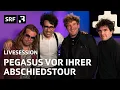 Lagu Pegasus – «Metropolitans», «As Long as You Stay Here» und mehr | Livesession | SRF 3