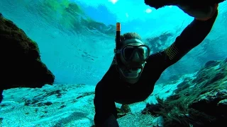 Beautiful Florida Springs Underwater