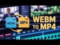 Convert s with Python - WebM MP4 MOV AVI