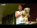 Download Lagu Forensic Files - Season 8, Episode 27 - True Lies - Full Episode
