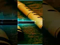 Download Lagu world best bansuri ringtone new ringtone 2024/ 2025 new flute ringtone instrumental ringtone