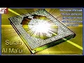 Download Lagu Learn and Teach Surah Al Ma'un 7 Times by Mishary Rashid Al Afasy With Bangla Translation