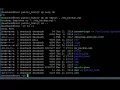 Using WP-CLI to do a