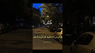 يا رب النقشبندي مصر قطر السعوديه الكويت الإمرات عمان قران كريم قرآن Quran Quran Alkarim 