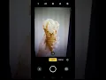 Food-Classification Android App Using Deep Learning and Artificial Intelligence with TensorFlow