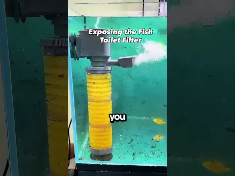 How Dirty Filters Get