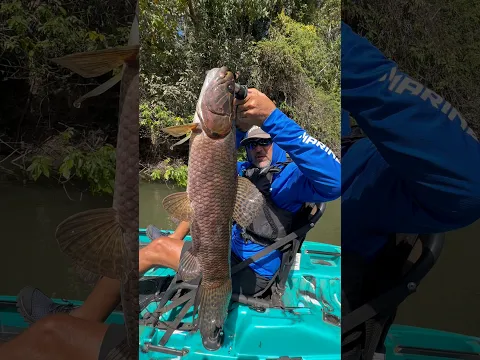 É TRAIRÃO DE CAIAQUE! #johnnyhoffmannoficial #fishing