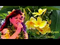Download Lagu Lief Java   EverLite For Hawaiians with Jan v  Elk on Haw  Guitar \u0026 vocals Nora Ranti