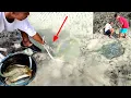 Download Lagu Tangkap ikan PARI dengan TANGAN KOSONG 😱 Stingray fisherman #day18