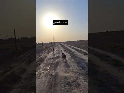 هجوم الكلاب علئ الثعلب 😡 #حيوانات