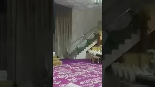 عرس بنت اختي 