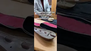 الفراعنة صنعوا آلاتهم الموسيقية من أمعاء الحيوانات 