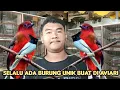 Download Lagu SELALU ADA BURUNG UNIK BUAT DI AVIARI 