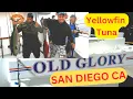 Yellowfin Tuna OLD GLORY Sportfishing H M Landing San Diego CA Overnight Trip Searching For Bluefin