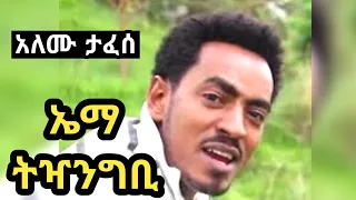 አለሙ ታፈሰ ኤማ ትዣንግቢ Alemu Tafese Guragigna Music 2013 