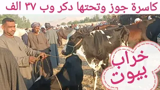 لن تصدق أسعار البقر الوالد والعشر والحلاب بسوق الخميس اليوم ٣٠ ١٠ ٢٠٢٥م 