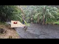 Download Lagu Water stroomt over tijdens hevige regen || solo kamperen hevige regen