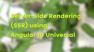 Angular 10 Universal Server Side Rendering SSR CRUD Example