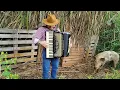 Download Lagu Xodozinho Sanfonando - Arranjos de músicas Gino e Geno