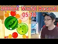 Suika Game World Record 5 18 300 3k Score