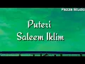 Download Lagu PUTERI - SALEEM IKLIM [ Lirik ]
