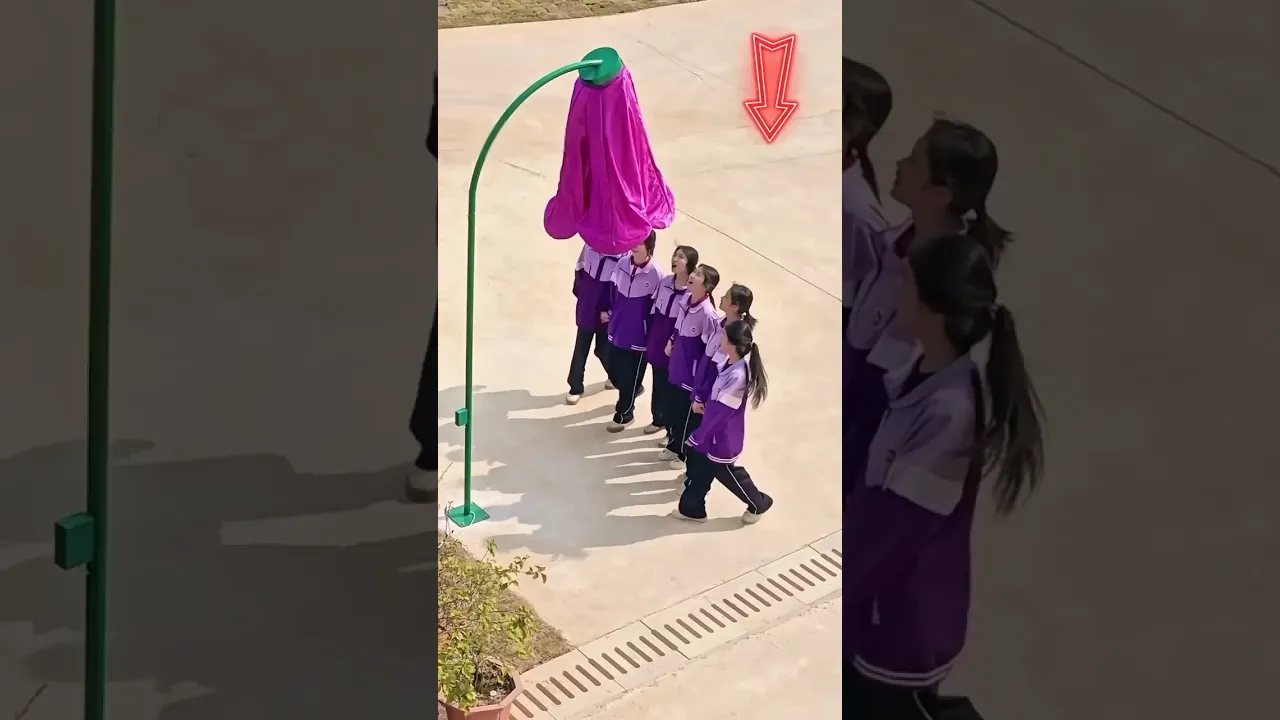 #bts