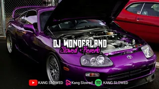 Download Dj Wonderland - Slowed \u0026 Reverb MP3