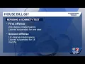 New Florida laws now in effect What you need to know