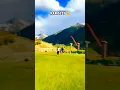 Download Lagu Pardesiya De Naal Kade Pyar Na Karen|| yasir kashmiri song status | whatsaap status || pahadi status