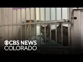 Denver Animal Shelter saw significant increase in pet surrenders in 2025 offers help to pet owners