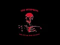 The Offspring: Hammerhead (1994)
