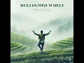 DELİ OLMİŞUM DELİ
