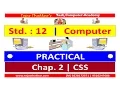 Std 12 Chap 2 CSS