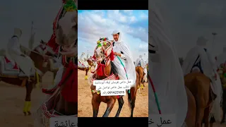 عمل خاص لفرسان  ابو عائشة
