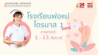โรงเรียนพ่อแม่ ไตรมาส 1 อายุครรภ์ 1 - 13 สัปดาห์