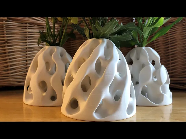 Reticular Form 2 video thumbnail