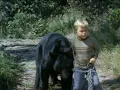 Gentle Giant Full Movie Drama Dennis Weaver